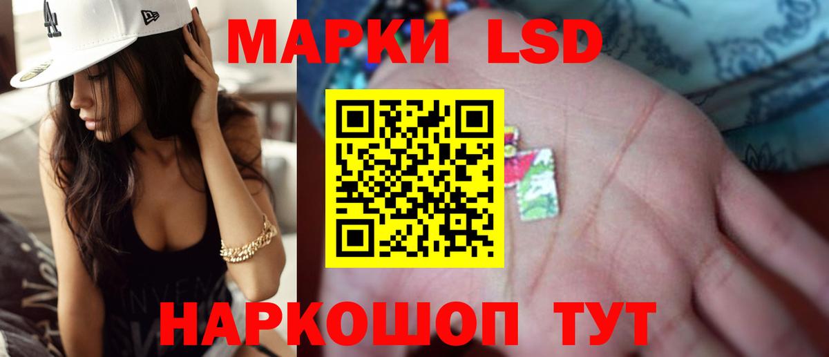 МЕФ Магадан