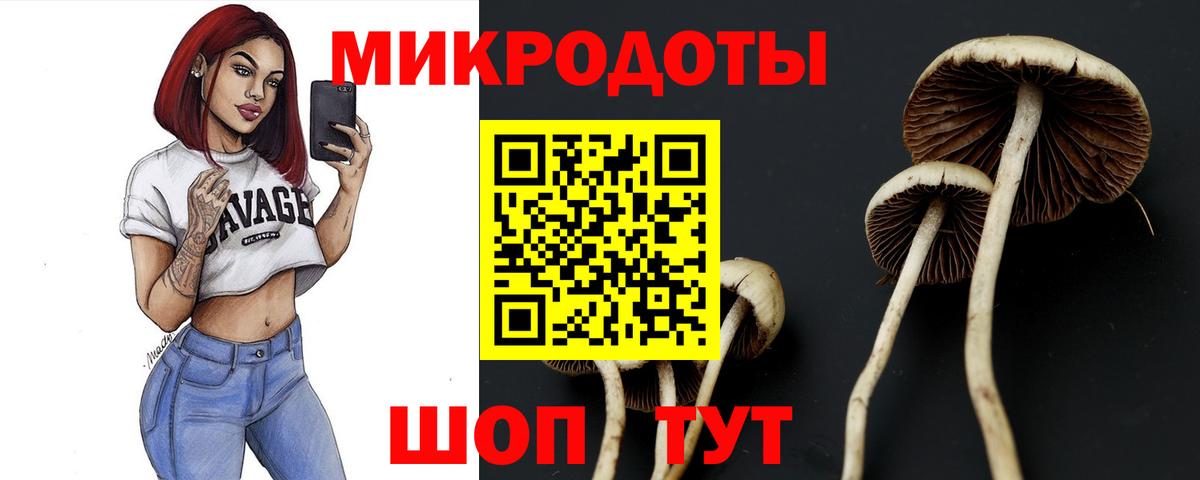 даркнет сайт  Галлюциногенные грибы Cubensis  Вход с VPN  Магадан 